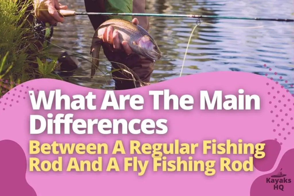 What Are The Main Differences Between A Regular Fishing Rod And A Fly Fishing Rod